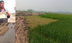 मुआब्जा नदिएको खेतमा ठेकेदारको रजाई