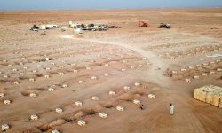 अमेरिकामा कोरोनाबाट करिब पाँच लाखको मृत्यु