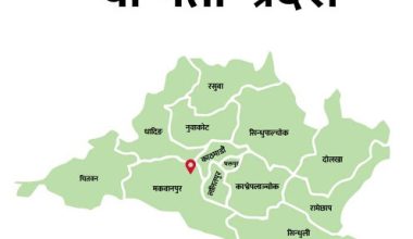 वाग्मती प्रदेश यातायात व्यवस्थापन बोर्डको कार्यकारी निर्देशकमा ढुङ्गाना नियुक्त