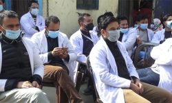 नियमित काममा फर्किए वीर अस्पतालका आवासीय चिकित्सक
