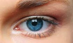 सवारी चालकको निःशुल्क आँखा र कान परीक्षण