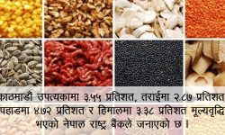 तेल र गेडागुडीको भाउ ह्वात्तै बढ्यो, एक महिनामै मूल्य वृद्धि १ प्रतिशतले उकालो लाग्यो