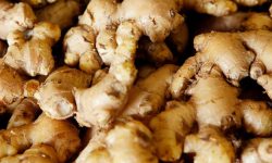 अदुवाको भाउ घटेपछि किसानमा निराशा