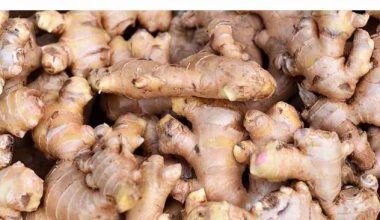 अदुवाको भाउ घटेपछि किसानमा निराशा