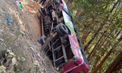 नवलपरासीको दाउन्ने दुर्घटना : घाइतेमध्ये तीनको मृत्यु