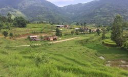 डेढ वर्षभित्रै भूमिहीनलाई जग्गा दिने तयारी