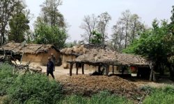 चारकोसे झाडीभित्रको बस्ती : जहाँ प्रजातन्त्रको अनुभूति देखिएन