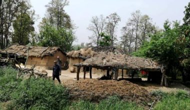 चारकोसे झाडीभित्रको बस्ती : जहाँ प्रजातन्त्रको अनुभूति देखिएन