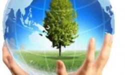 नेपालले कार्बन सञ्चितिबापत पाँच अर्ब प्राप्त गर्ने