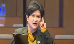 काेमल वली भन्छिन्- सरकारको सही कामलाई सही र गलतलाई गलत भनेर आलोचना गर्नेछु