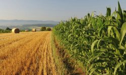 बाग्लुङमा १० कृषि परियोजनाका कृषकलाई ८ करोड अनुदान