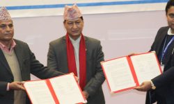 काठमाडौँ मेयर कप क्रिकेट हुने, महानगरपालिकाको ५० लाख रुपैयाँ सहयोग