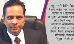 नेपाल बैंक सञ्चालक समितिको अध्यक्षमा मरासिनी