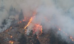 फेरि बल्यो मनाङको जङ्गलमा आगो