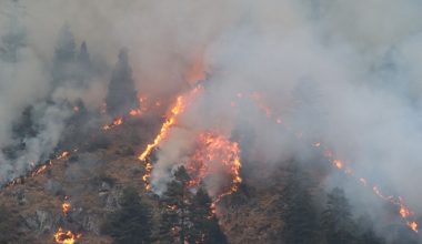 फेरि बल्यो मनाङको जङ्गलमा आगो