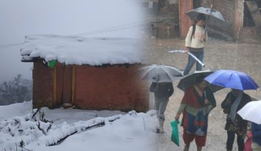 शुक्रबारदेखि पुनः वर्षा र हिमपातको सम्भावना