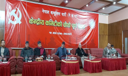 नेकपाको आधिकारिकता माग्दै प्रचण्ड–नेपाल