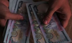 अविवाहित महिला र एकल पुरुषले पनि भत्ता पाउने