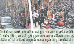 बाटोको नाममा पार्किङ धन्दा