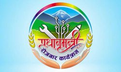 पीएम रोजगार कार्यक्रम : बैतडीमा चार हजारले पाए रोजगारी