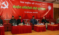 ओलीलाई साधारण सदस्यबाट निष्कासन, विष्णु पौडेलको पद खोसियो