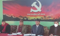 कतै पद फालाफाल, कतै हाँसको चाल