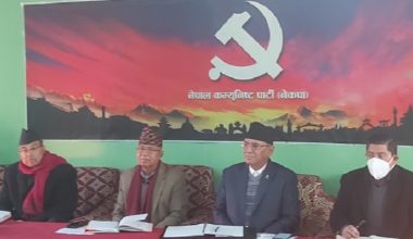 कतै पद फालाफाल, कतै हाँसको चाल