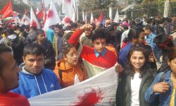 शान्तिवाटिकामा प्रचण्ड–नेपाल समूहको विजय -याली