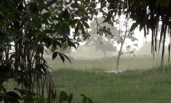 भोलिदेखि मौसममा सुधार, आज पूर्व र मध्य क्षेत्रमा वर्षाको सम्भावना