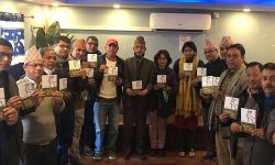 ‘संवैधानिक पत्नी’  लघुकथा कृति सार्वजनिक