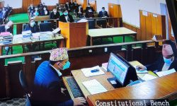 संविधान कोमामा पुग्यो : एमिकस क्युरी पाठक