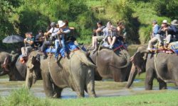 घुमौं सौराहा अभियान प्रभावकारी बन्दै