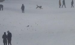 अमेरिकामा भारी हिमपात र आँधी, १० वर्ष यताकै धेरै