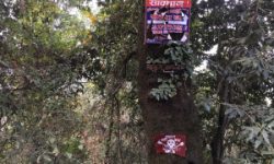 फुल्चोकी जंगलमा हराइरहेका दुई जना प्रहरीद्वारा सकुशल उद्दार