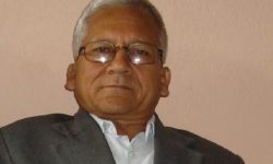 प्रदेश २ का प्रदेश प्रमुख तिलक परियार पदमुक्त