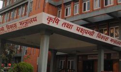 नेपाल पक्षीजन्य उत्पादनमा ‘आत्मनिर्भर’रहेको भोलि घोषणा गरिँदै