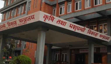 नेपाल पक्षीजन्य उत्पादनमा ‘आत्मनिर्भर’रहेको भोलि घोषणा गरिँदै