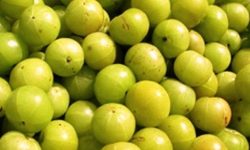 घरेलु औषधि अमलाका लोभलाग्दो फाइदाहरु