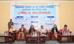 बालबालिका सम्बन्धी १० वर्षे रणनीति तयारीका लागि कार्यशाला आयोजना