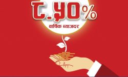 ग्लोबल आइएमई बैंकद्वारा ८.५ प्रतिशत बैंक डिबेन्चर २०८६–८७ जारी