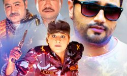 लामो समयपछि हलमा नेपाली सिनेमा