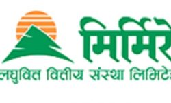 मिर्मिरे लघुवित्तले एफपीओ वितरण गर्दै