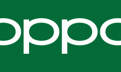 नेपालमा ओपो एफ१९ प्रो चाँडै सार्वजनिक गर्ने तयारी