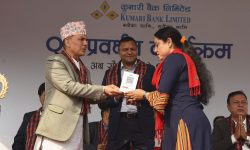 सौराहा घुम्न जाँदा नगद बोक्नु नपर्ने, हरेक पसलमा क्यूआर भुक्तानीको सुविधा