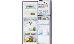 सामसङको कर्ड मेस्ट्रो टिएम रेफ्रिजेनेरेटर नेपालमा