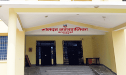 वडाअध्यक्षको निधनमा भीमदत्त नगरपालिकामा भोलि बिदा