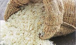 नेपालकै एक गाउँ जहाँ मच्चाएको छ, भोकमरीले त्राहिमाम्