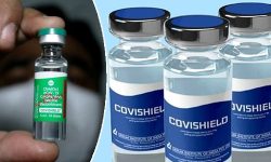 कोरोनाविरुद्धको खोप अभियान स्थगित