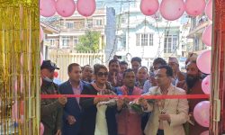 काठमाडौंको नरेफाँटमा खुल्यो नेचर सुपर मार्केटको पहिलो शाखा