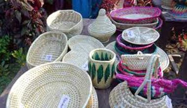 महिला हस्तकला मेला यही फागुन २२ देखि हुँदै